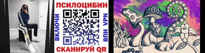 купить  сайты  Волхов  Галлюциногенные грибы Magic Shrooms 